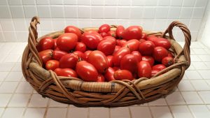 2016-09-06 18.54.44 Tomatoes